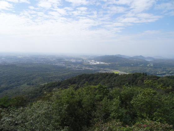 o0559041913138784962